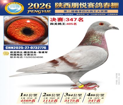 陕西朋悦决赛347名