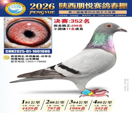 陕西朋悦决赛352名