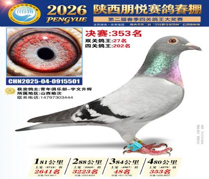 陕西朋悦决赛353名