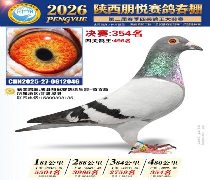 陕西朋悦决赛354名