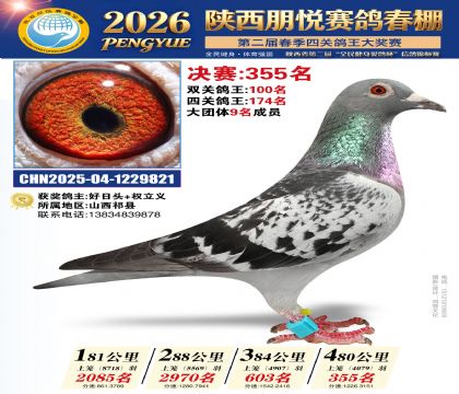 陕西朋悦决赛355名