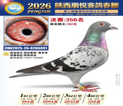 陕西朋悦决赛356名
