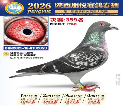 陕西朋悦决赛359名