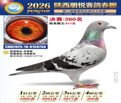陕西朋悦决赛360名