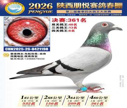 陕西朋悦决赛361名