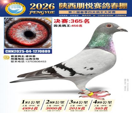 陕西朋悦决赛365名
