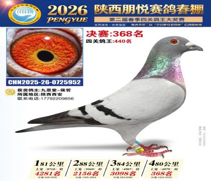 陕西朋悦决赛368名