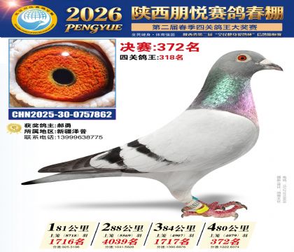陕西朋悦决赛372名