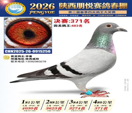 陕西朋悦决赛371名