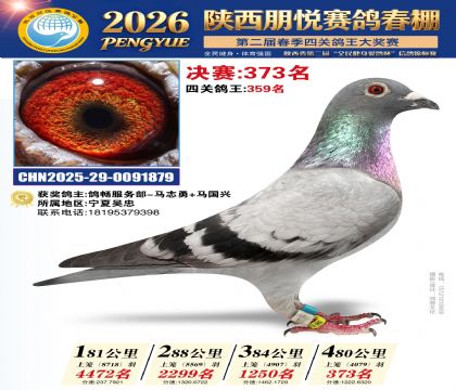 陕西朋悦决赛373名