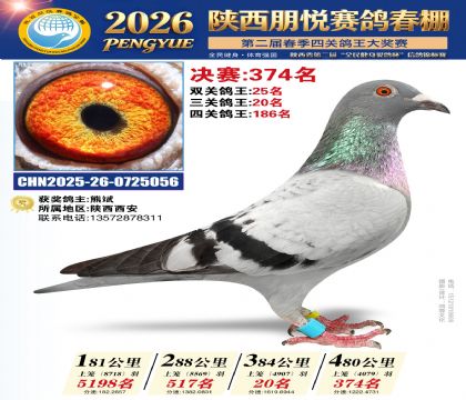 陕西朋悦决赛374名