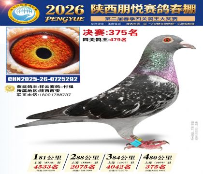 陕西朋悦决赛375名