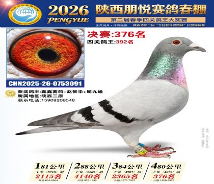 陕西朋悦决赛376名