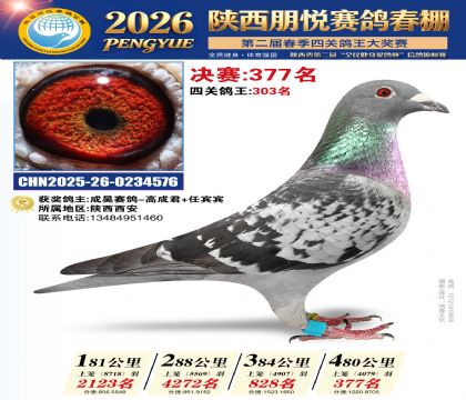 陕西朋悦决赛377名
