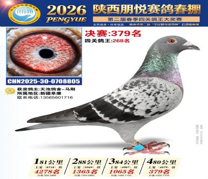 陕西朋悦决赛379名