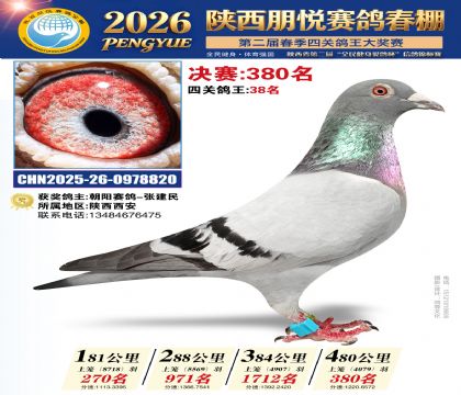 陕西朋悦决赛380名