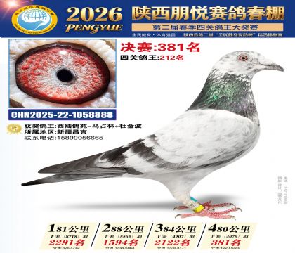 陕西朋悦决赛381名