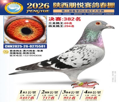 陕西朋悦决赛382名