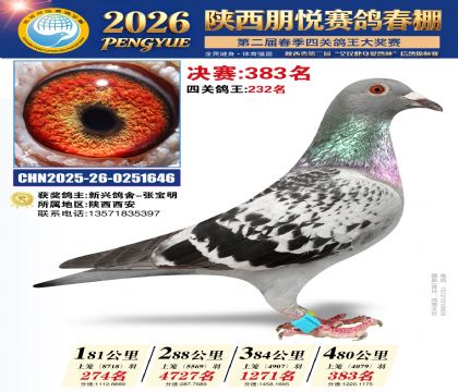 陕西朋悦决赛383名