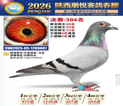 陕西朋悦决赛384名
