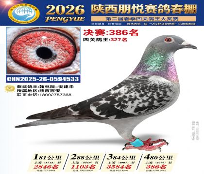 陕西朋悦决赛386名