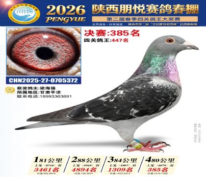 陕西朋悦决赛385名