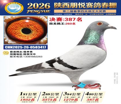 陕西朋悦决赛387名