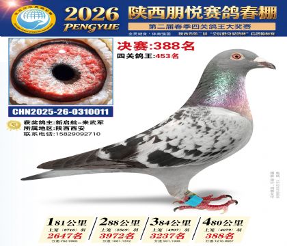 陕西朋悦决赛388名