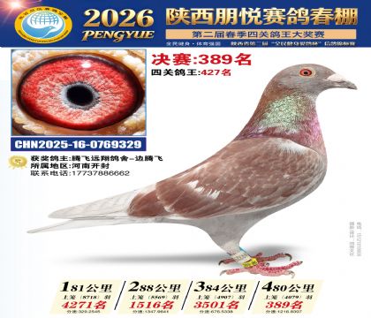 陕西朋悦决赛389名