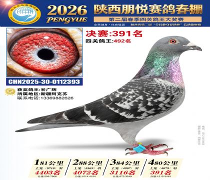 陕西朋悦决赛391名