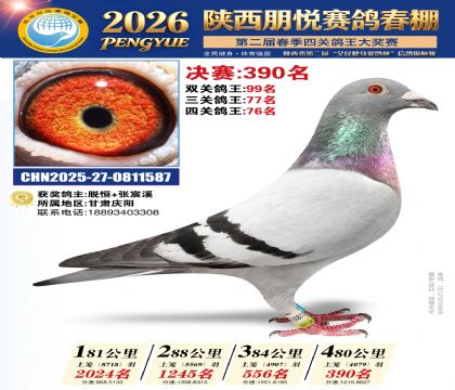 陕西朋悦决赛390名