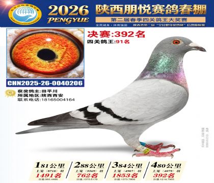 陕西朋悦决赛392名
