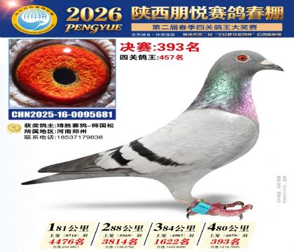 陕西朋悦决赛393名