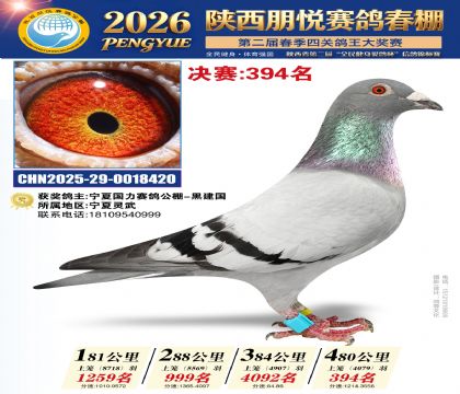 陕西朋悦决赛394名