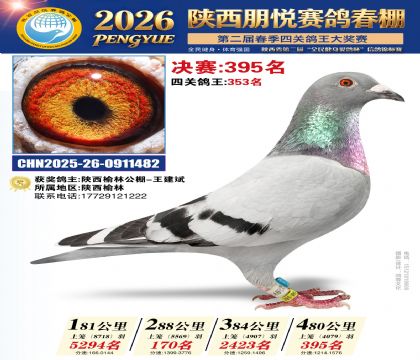 陕西朋悦决赛395名