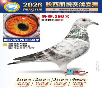 陕西朋悦决赛396名