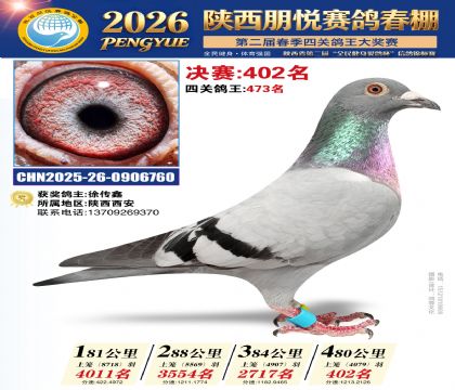 陕西朋悦决赛402名