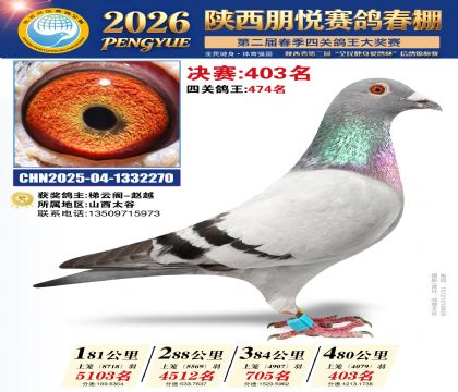 陕西朋悦决赛403名