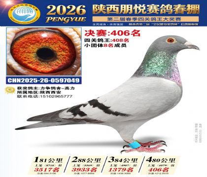 陕西朋悦决赛406名