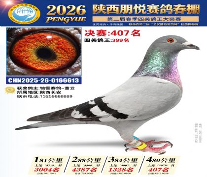 陕西朋悦决赛407名