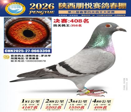 陕西朋悦决赛408名