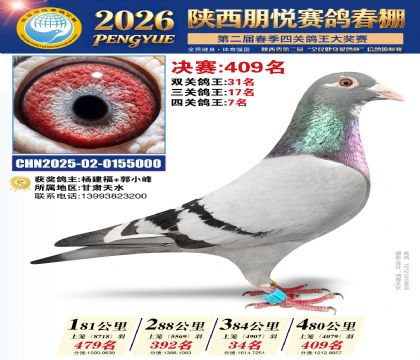 陕西朋悦决赛409名