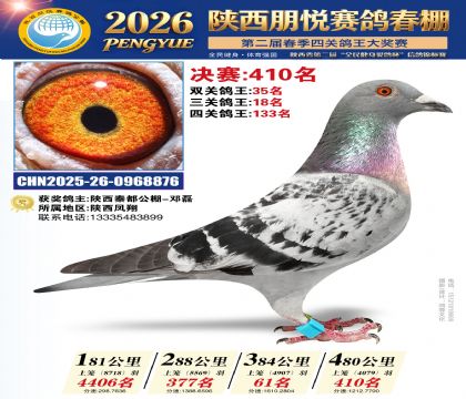陕西朋悦决赛410名