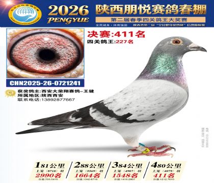 陕西朋悦决赛411名