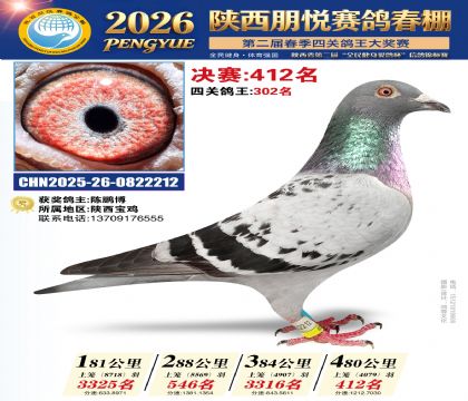 陕西朋悦决赛412名