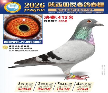 陕西朋悦决赛413名
