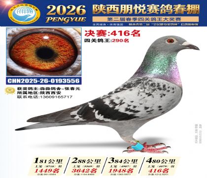 陕西朋悦决赛416名