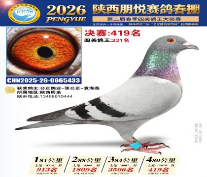 陕西朋悦决赛419名