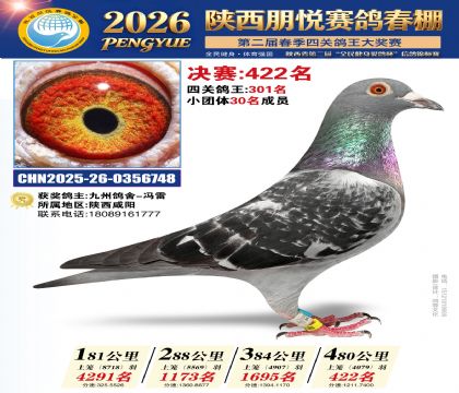 陕西朋悦决赛422名