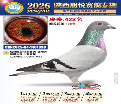 陕西朋悦决赛423名
